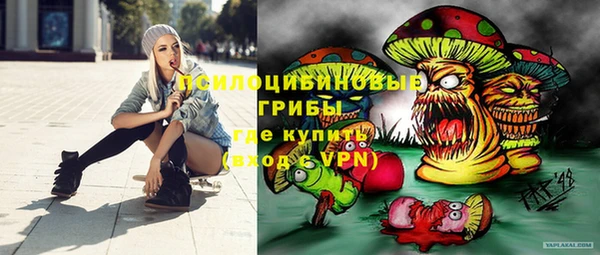 apvp Алексин