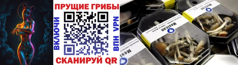 даркнет как зайти  Берёзовка  Галлюциногенные грибы мухоморы  как найти  